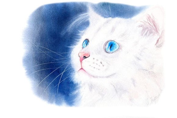 Download White Kitty Digital Prints PNG Files - Digital prints Collection